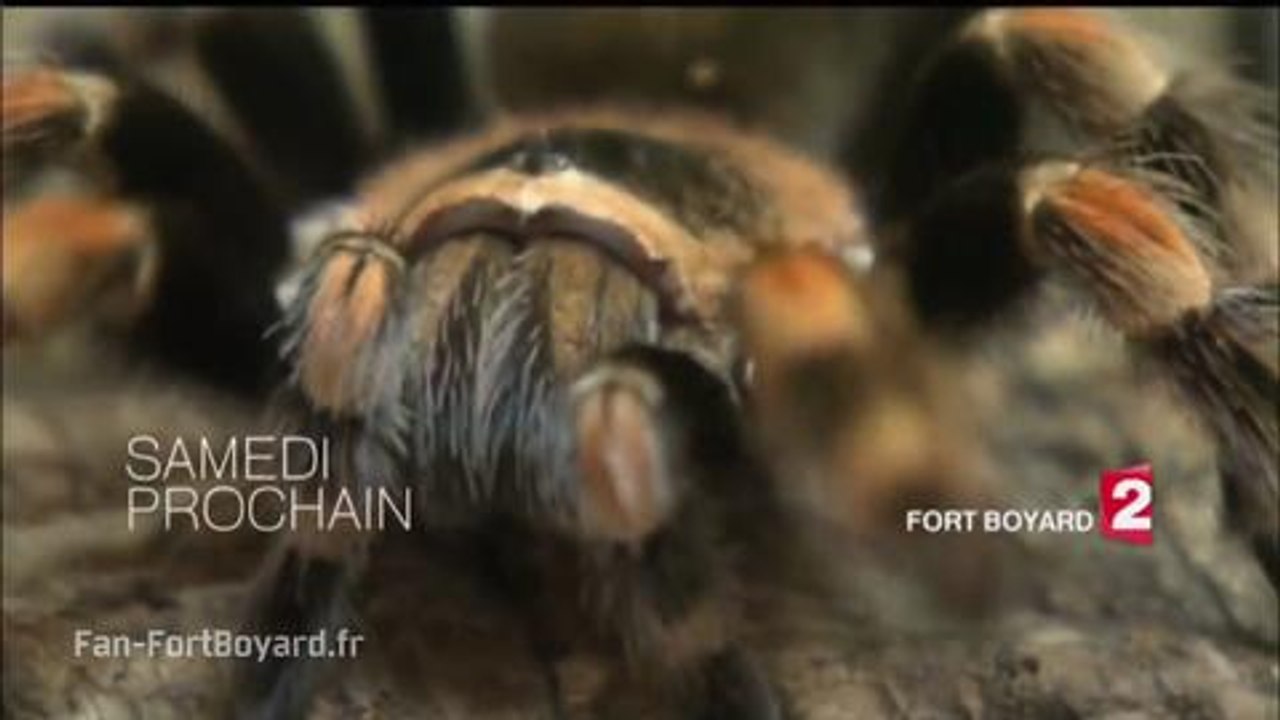 Fort Boyard