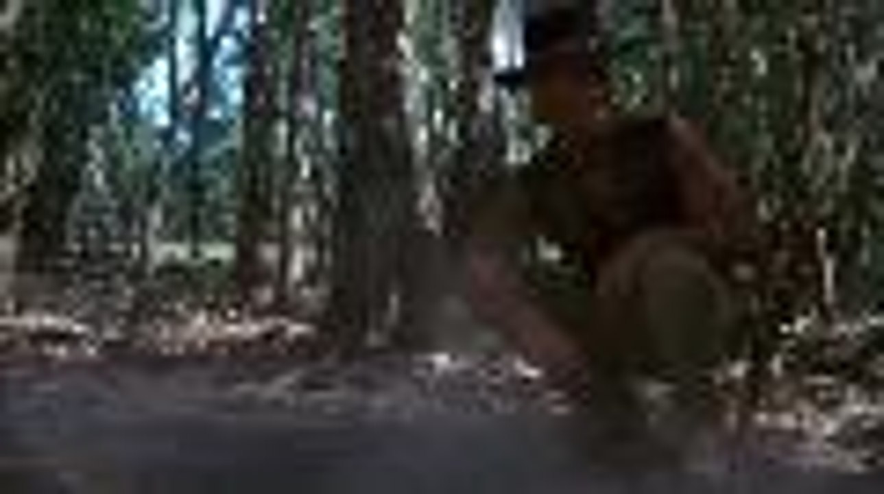 Crocodile Dundee II