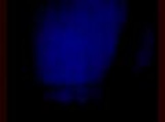 Les dents de la mer IV - la revanche