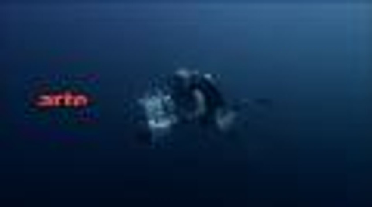 Régalec, premiers contacts avec le poisson roi