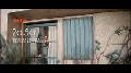 La vie passionnée de Vincent Van Gogh