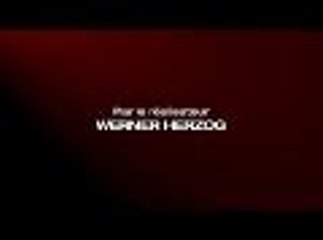 Bad lieutenant : Escale à la Nouvelle-Orléans