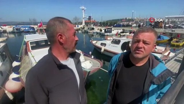 Çanakkale Boğazı’nda yaklaşık 300 kilogram ağırlığında köpek balığı yakaladılar