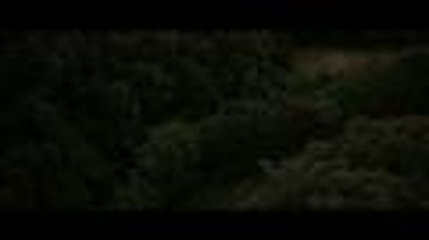 Un prince (presque) charmant