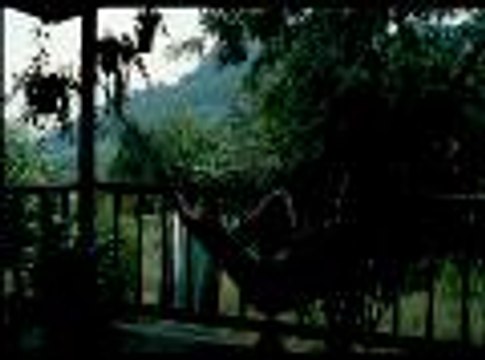 Oncle Boonmee, celui qui se souvient de ses vies antérieures