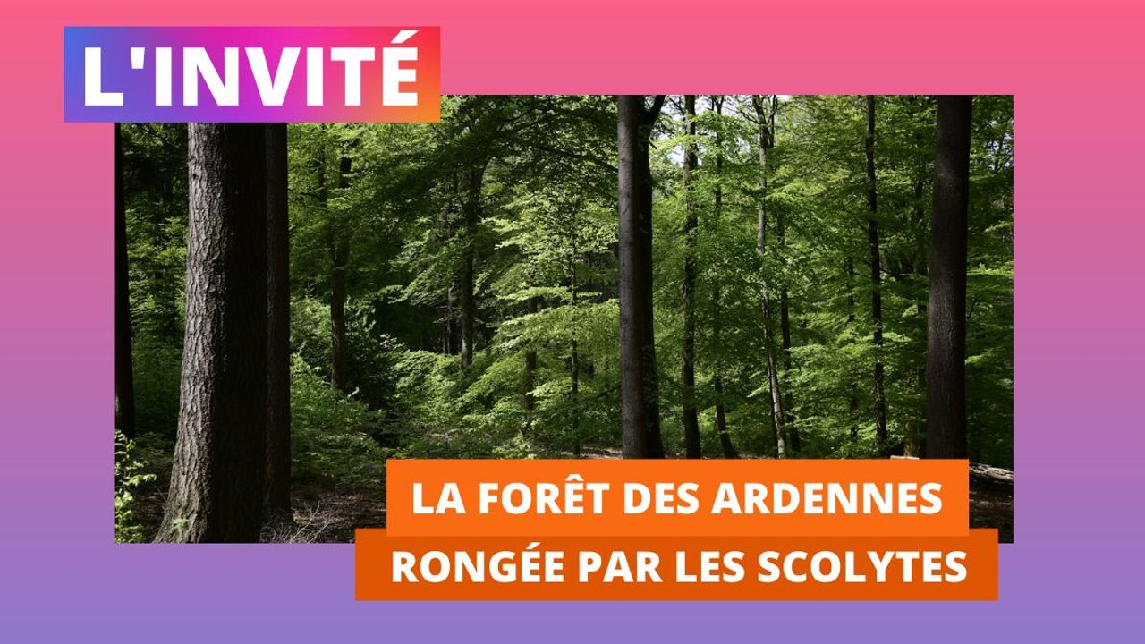 L'Ardennais publie un magazine sur la forêt des Ardennes