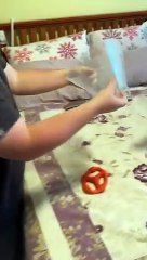 What does Princess think of the cone if shame_