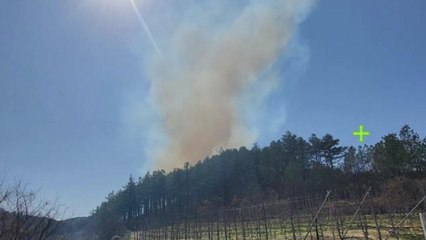 경북 청송군 산불...임야 0.1㏊ 태워 / YTN