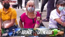 En bajos del CN piden una Ley Contra el Maltrato Animal