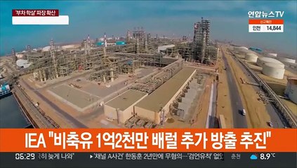 IEA "비축유 1억2천만 배럴 추가 방출 추진"