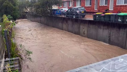 Fairy Creek in Gwynneville rages in heavy rain | April 7, 2022