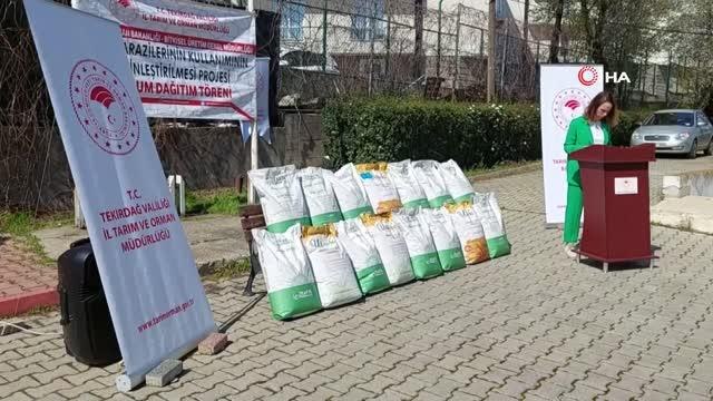 Ayçiçeği ithalatına karşı yerli tohum atağı... Devletten üreticiye 2 buçuk ton hibrit tohum