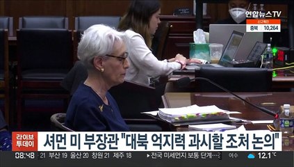 셔먼 미 부장관 "대북 억지력 과시할 조처 논의"