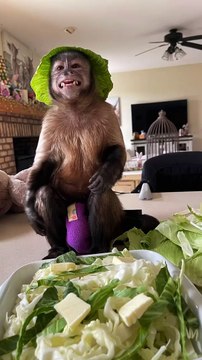 Gaitlyn Rae Meat loaf!Cooking With Gaitlyn Rae Meat Loaf Potato's red sauce and Cabbage!