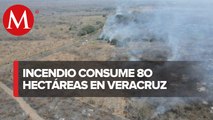 En Veracruz, incendio forestal daña 80 hectáreas de arbustos