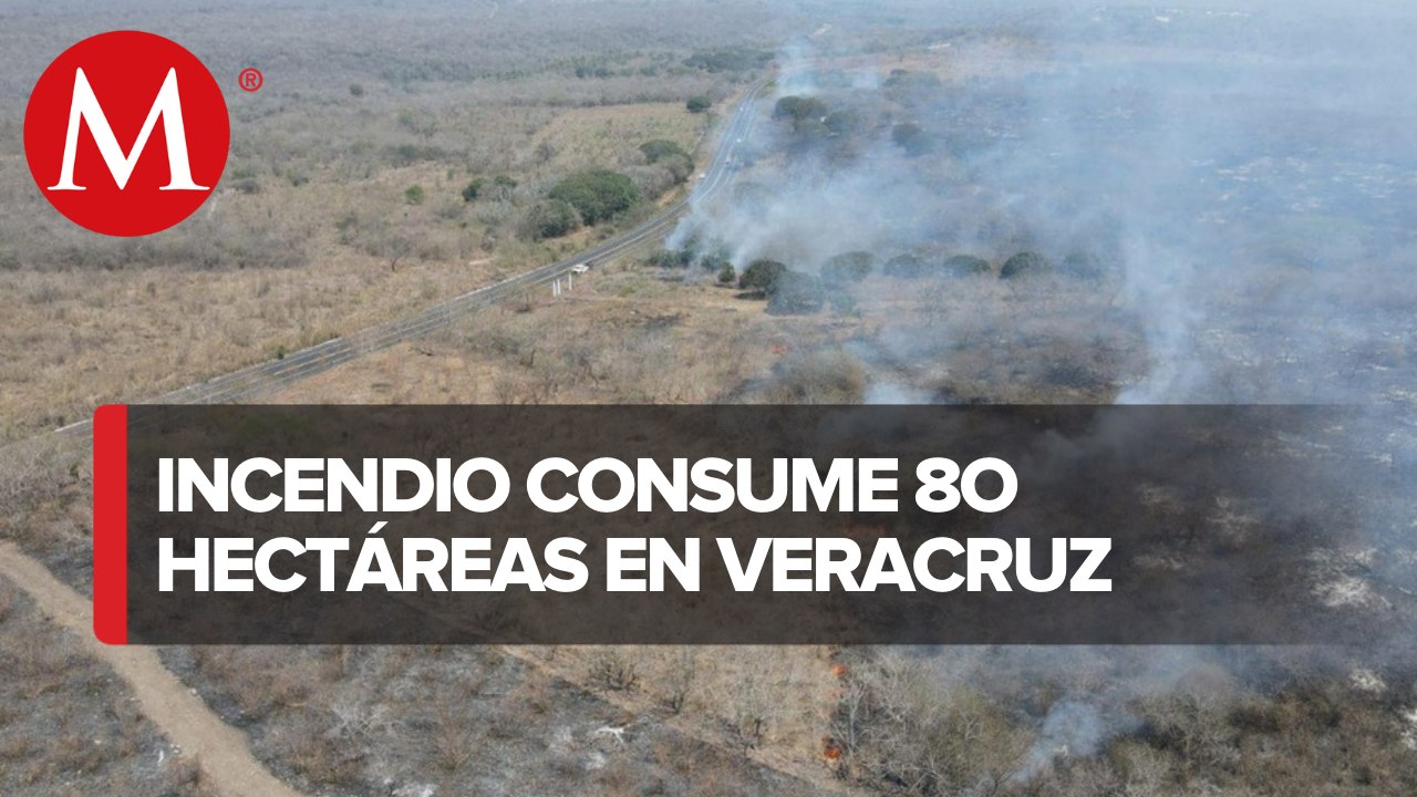 En Veracruz, incendio forestal daña 80 hectáreas de arbustos