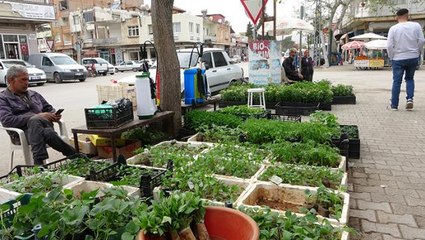 Vatandaşın artan talebi onlara yaradı! Tanesi 1,5 liradan günde 10 bin adet satıyorlar
