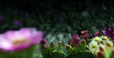 Night on Earth S01 E01