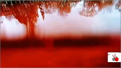 Rusya'ya karşı sıra dışı protesto: Kan gölünde yüzdü