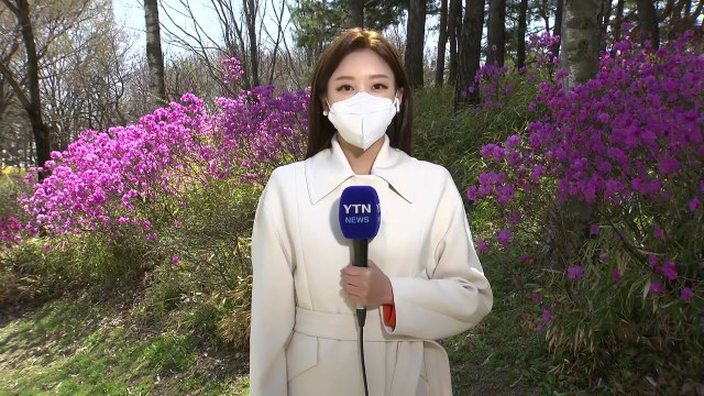 [날씨] 봄기운 가득한 도심 공원, 서울 낮 16℃...대기 건조 / YTN