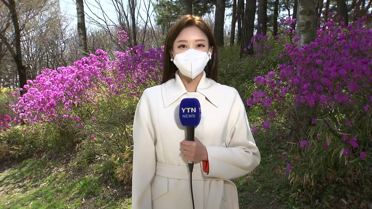 [날씨] 봄기운 가득한 도심 공원, 서울 낮 16℃...대기 건조 / YTN
