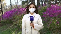 [날씨] 내일도 맑고 포근...서울 등 곳곳 '건조특보' / YTN
