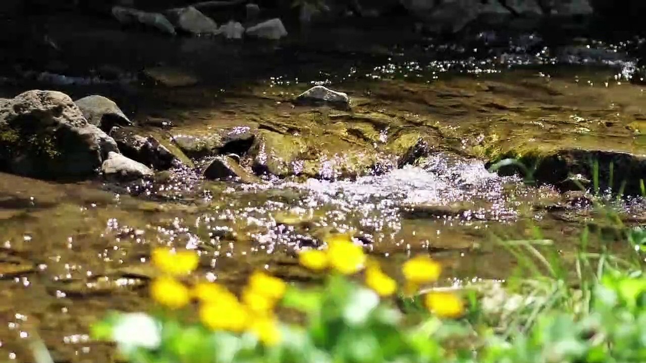 Water Flow