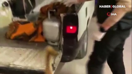 Hurdacı gibi dolaşıp uyuşturucu sattığı ortaya çıktı