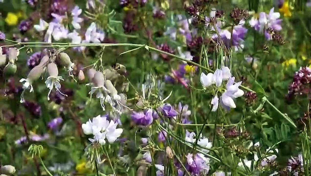 Interview Benedikt Schmid