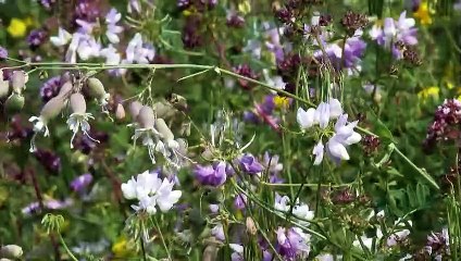 Interview Benedikt Schmid