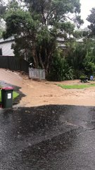 ILLAWARRA MERCURY: Hewitts Creek flooding