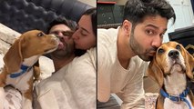 Varun Dhawan का Pet Dog Joey और Wife के साथ Cute Video Viral , Must Watch | Boldsky