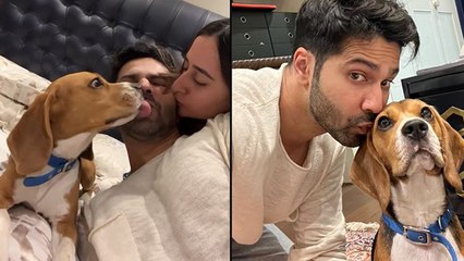 Varun Dhawan का Pet Dog Joey और Wife के साथ Cute Video Viral , Must Watch | Boldsky
