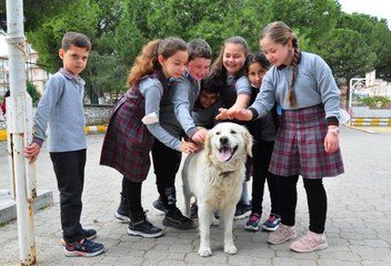 ELMAS ÖĞRETMENİN SAHİPLENDİĞİ 'BADEM' OKULUN MASKOTU OLDU
