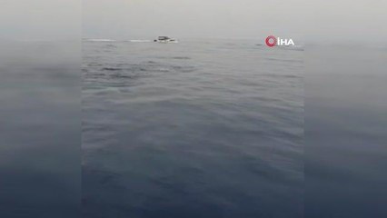Antalya'da yunus sürüsü, tekneye böyle eşlik etti
