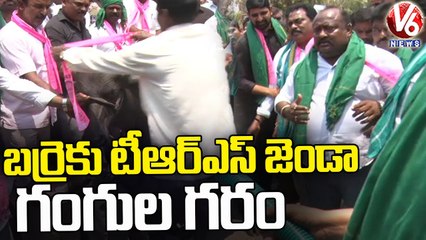 Minister Gangula Kamalakar Serious On Activist For Hanging TRS Flag To Buffalo _ V6 News