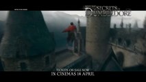 Fantastic Beasts: The Secrets Of Dumbledore | Tv Spot: The Light 15s