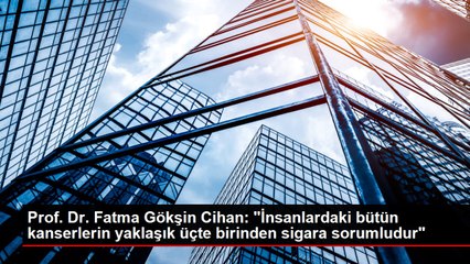 Prof. Dr. Fatma Gökşin Cihan: "İnsanlardaki bütün kanserlerin yaklaşık üçte birinden sigara sorumludur"