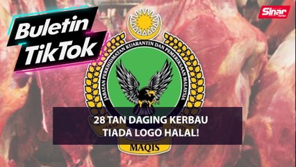 Tải video: 28 tan daging kerbau tiada logo halal!