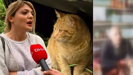 Hayvanseverleri çileden çıkaran iddia: 40 TL karşılığında çocuklara kedileri toplattı