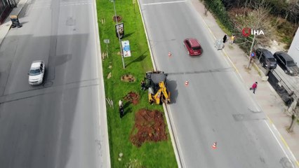 Gezi Parkı'nda 3-5 ağacı bahane eden müptezeller buna ne diyecek? CHP'nin ağaç sevdalıları bu haberi okusun