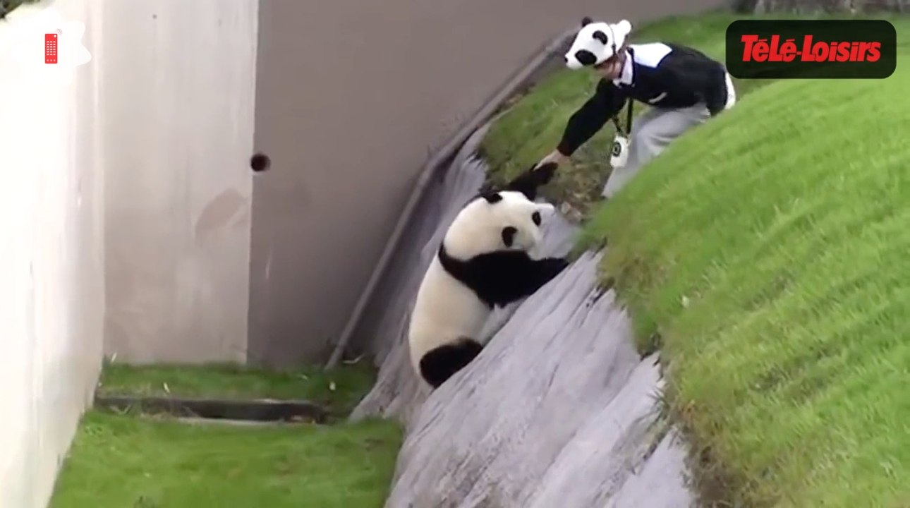 Trop fort : une petite fille détruit tout avec un camion télécommandé dans le Zapping web (VIDEO)