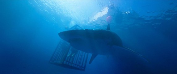 47 meters Down : la bande-annonce anxiogène et truffée de requins !