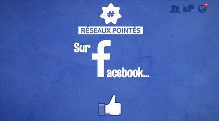Réseaux pointés, épisode 2 : Mais au fait, que peut-on faire de beau sur Facebook ?