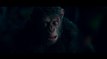 Bande-annonce La planète des singes - Suprématie : César prêt à livrer son ultime combat ?