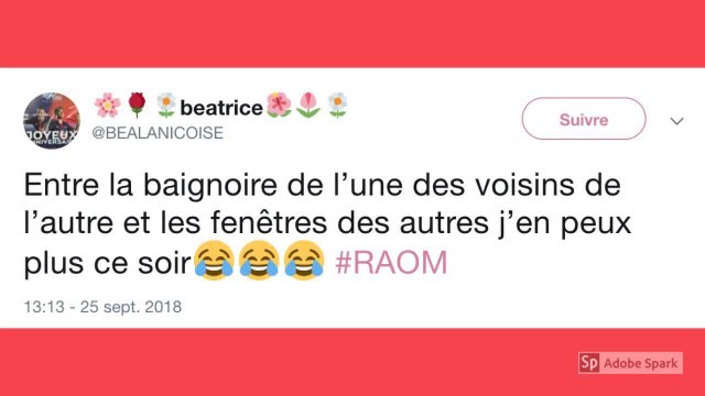 TEL - Recherche appartement ou maison : le rapprochement entre Thibault Chanel et une cliente amuse les internautes (REVUE DE TWEETS)