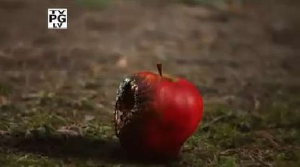 Once Upon a Time - Il y a un nouveau girls band à Storybrooke