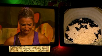 C'est pas le pied pour Denitsa Ikonomova dans le Père Fouras Show (Fort Boyard)