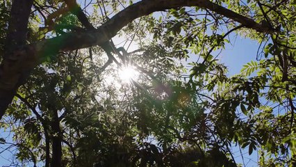 Lara Fabian sings 'Remember me' and opens up about ALS disease (2017)