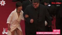 Zapping Ciné : le show d'Afida Turner sur les marches, la culotte de Sophie Marceau, le meilleur de Cannes